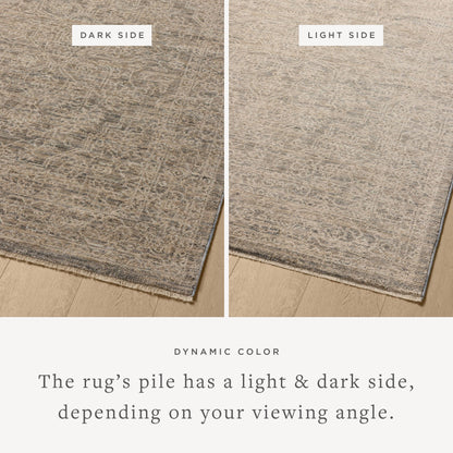 Loloi Newman Runner Rug