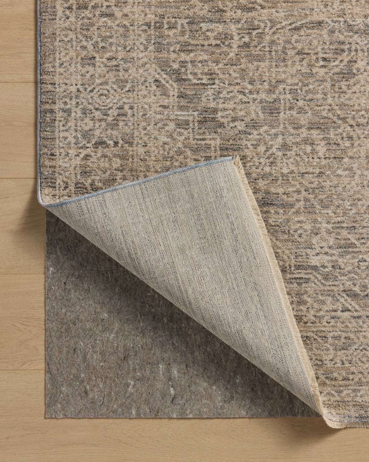 Loloi Newman Area Rug