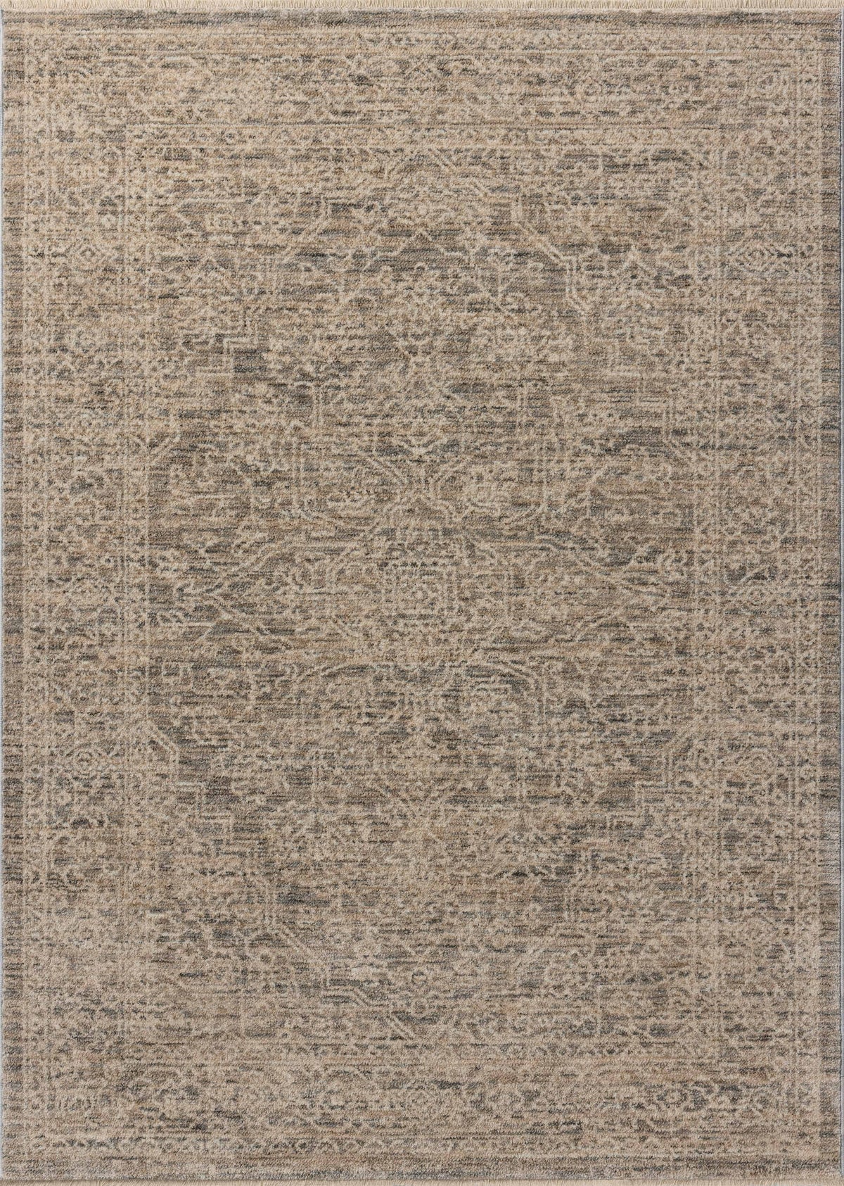 Loloi Newman Area Rug