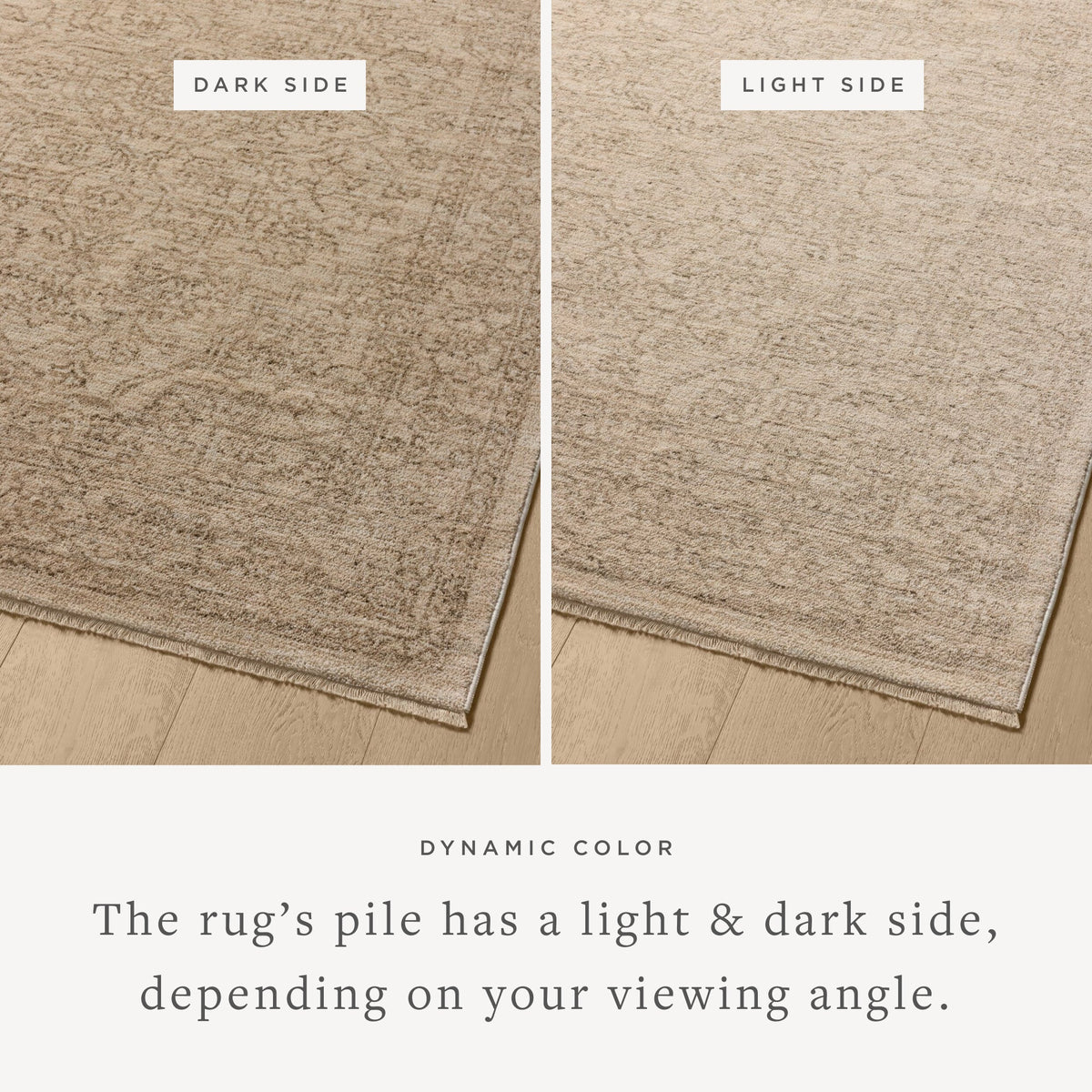 Loloi Newman Runner Rug