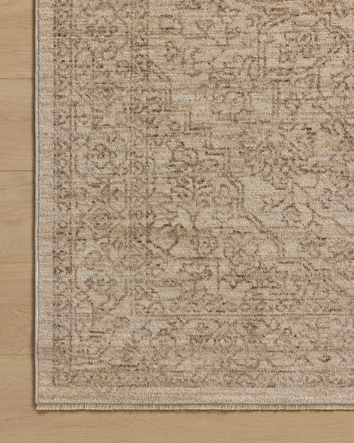 Loloi Newman 7'-10" x 7'-10" Round Area Rug