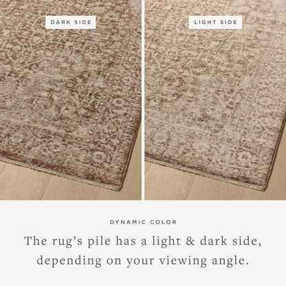 Loloi Newman 7'-10" x 7'-10" Round Area Rug