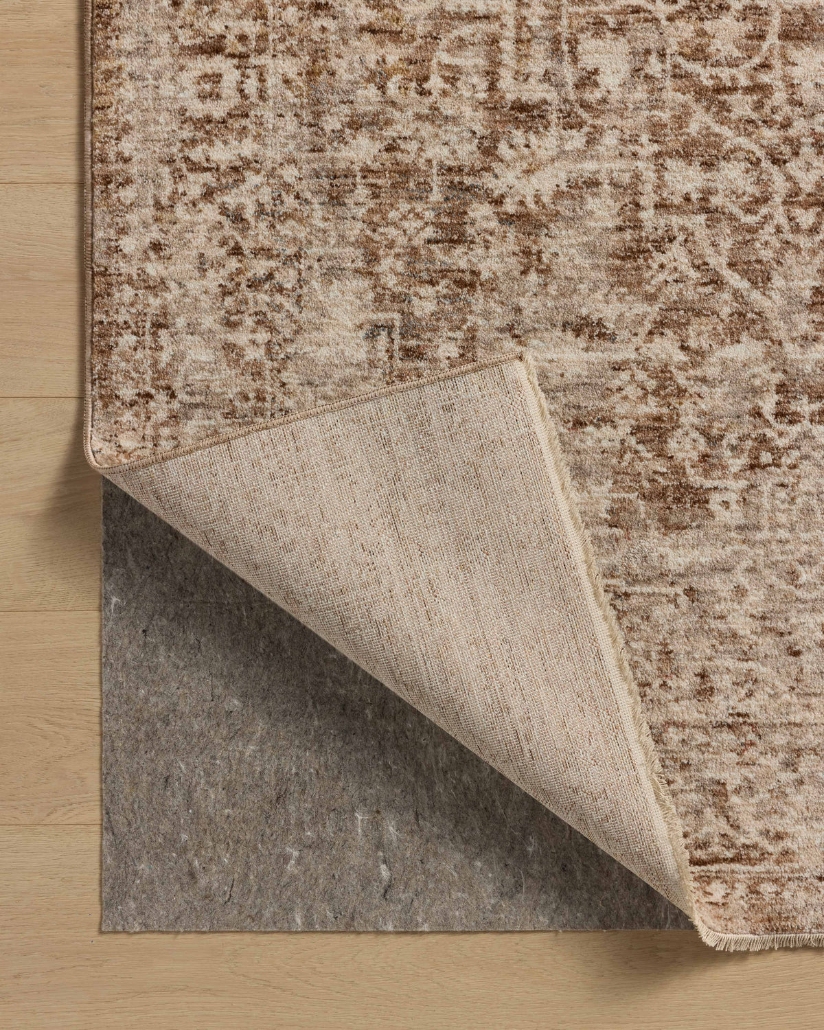 Loloi Newman Area Rug
