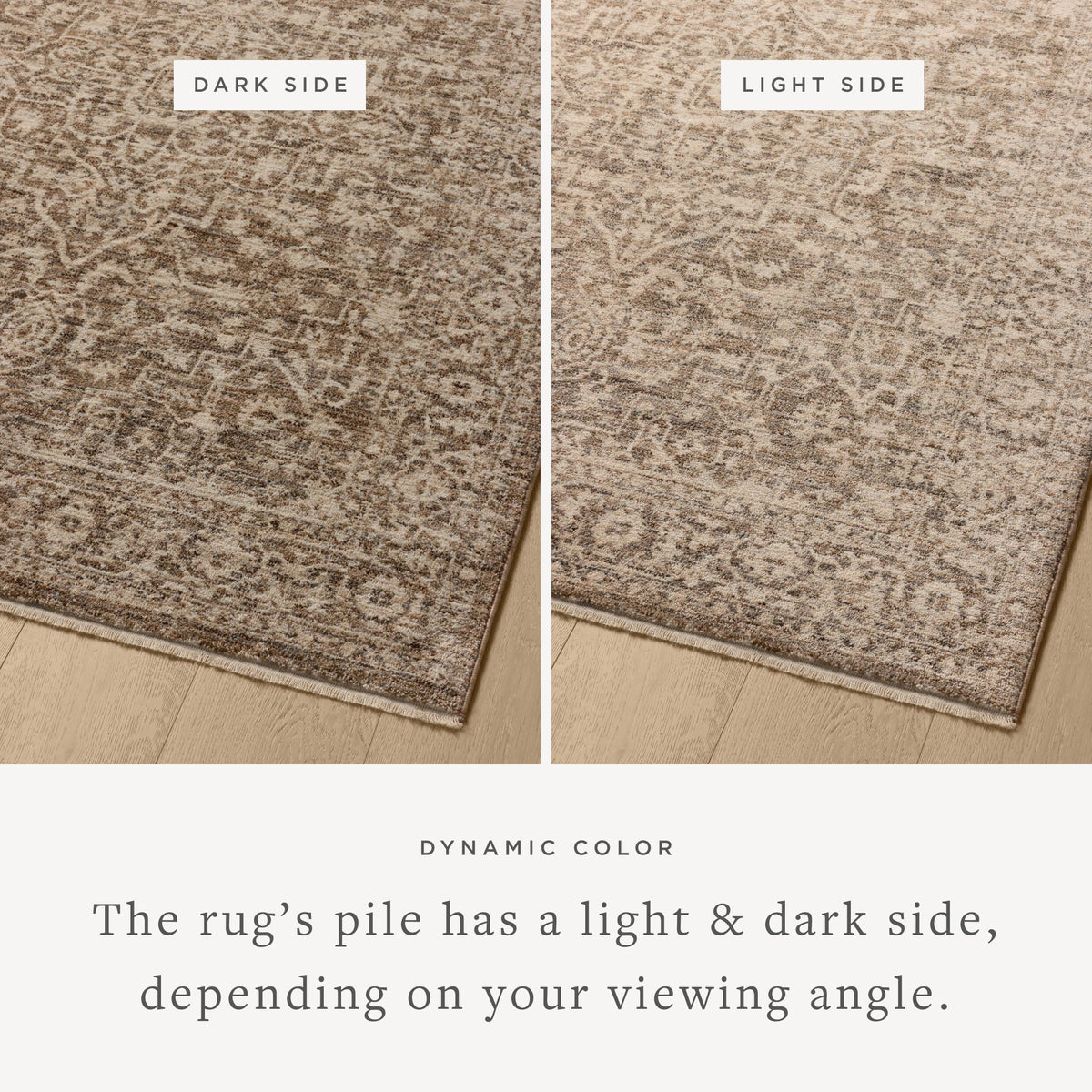 Loloi Newman 7'-10" x 7'-10" Round Area Rug