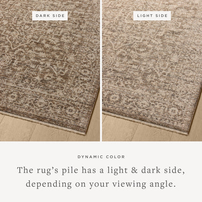 Loloi Newman 7'-10" x 7'-10" Round Area Rug