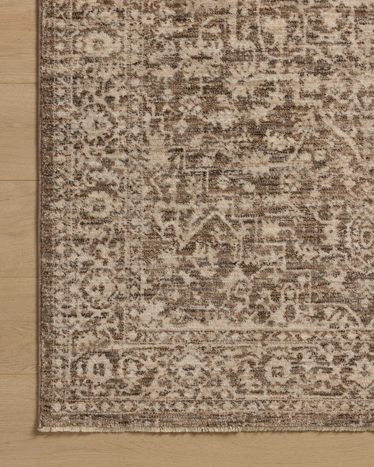 Loloi Newman Area Rug