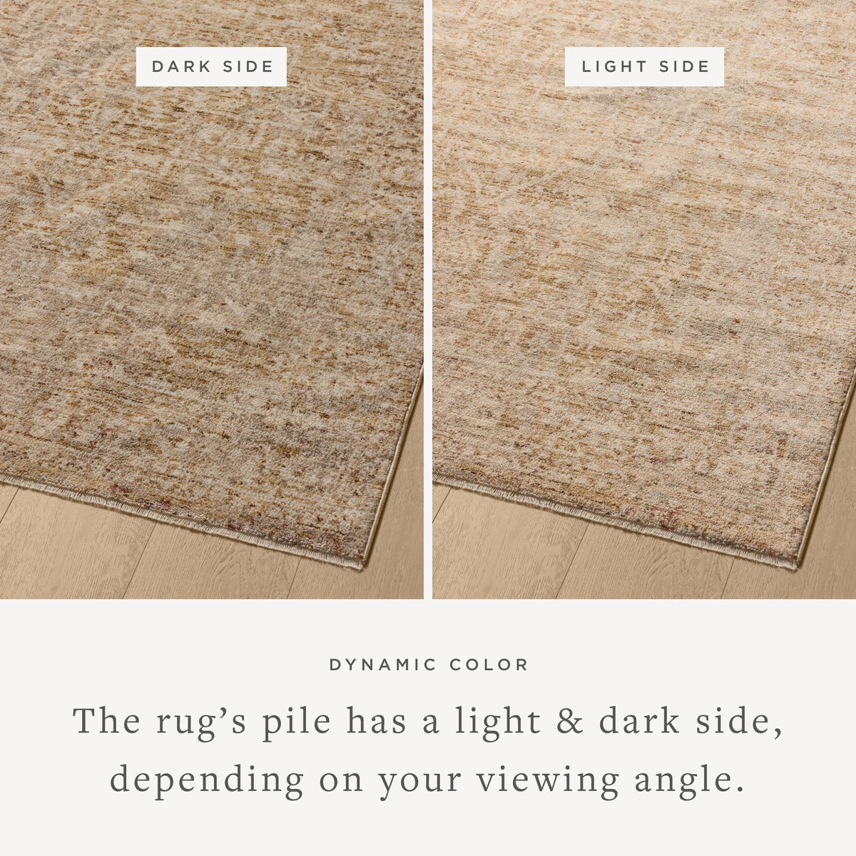 Loloi Newman Area Rug