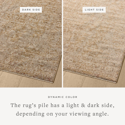Loloi Newman 7'-10" x 7'-10" Round Area Rug