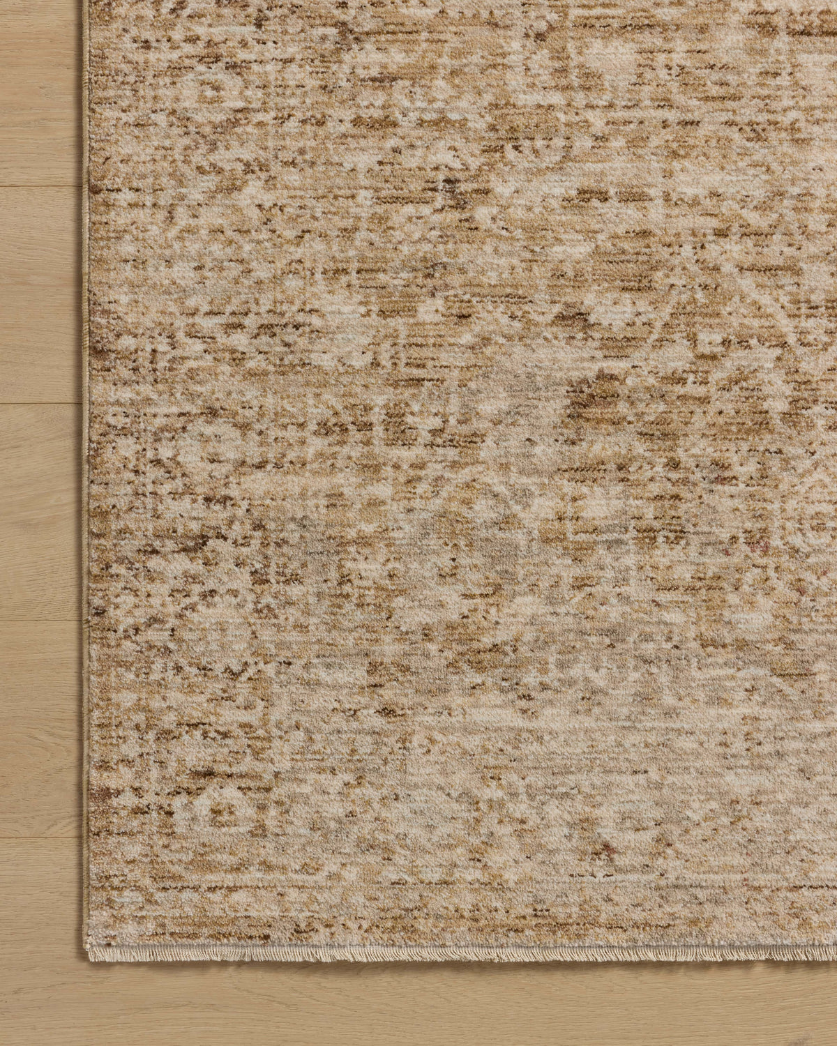 Loloi Newman 7'-10" x 7'-10" Round Area Rug