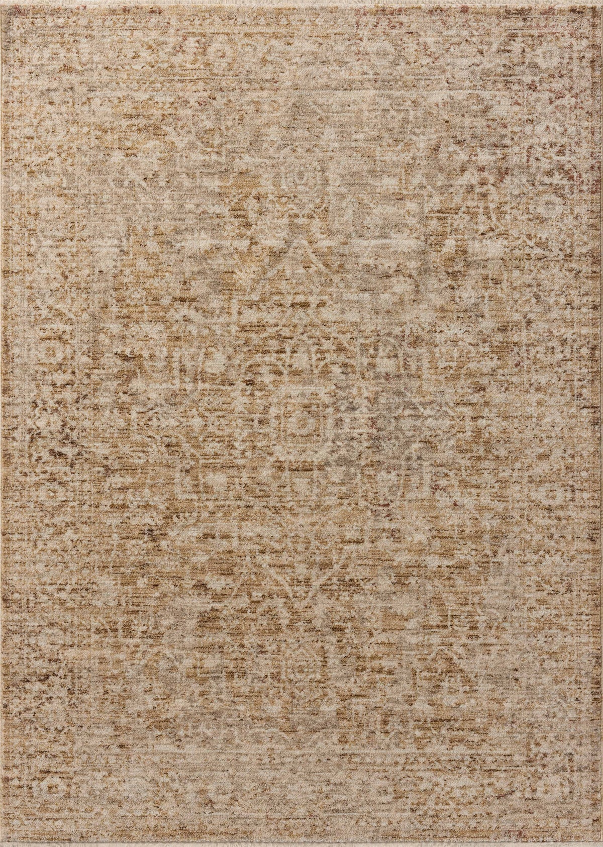 Loloi Newman Area Rug