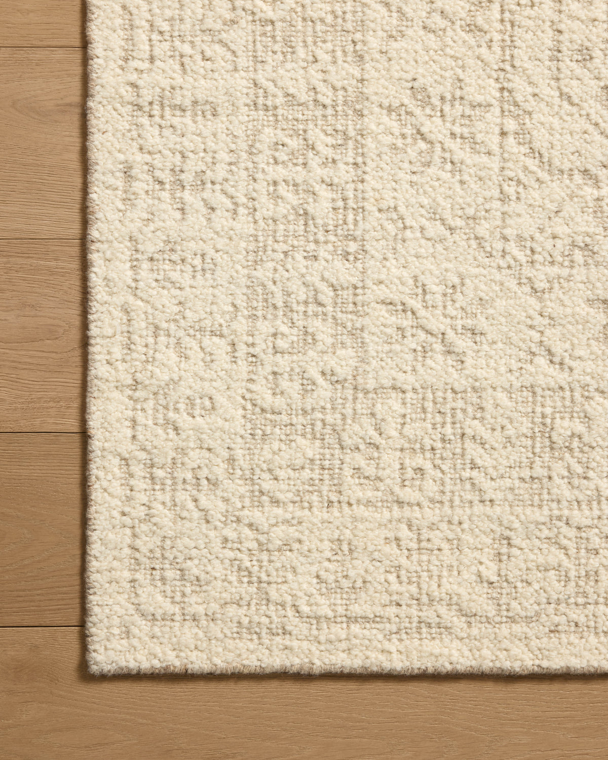 Loloi Novi 18" x 18" Sample Rug