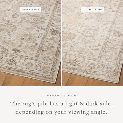 Magnolia Home by Joanna Gaines x Loloi  18" x 18" Sample Rug