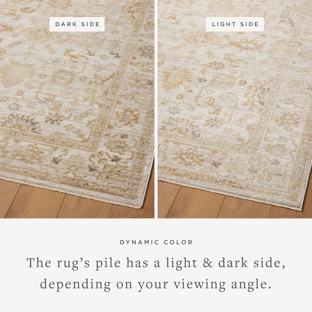 Magnolia Home by Joanna Gaines x Loloi  18" x 18" Sample Rug
