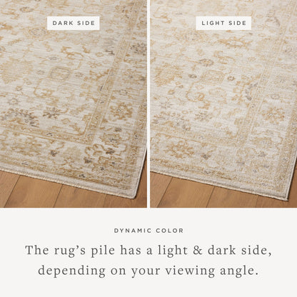 Magnolia Home by Joanna Gaines x Loloi  18" x 18" Sample Rug