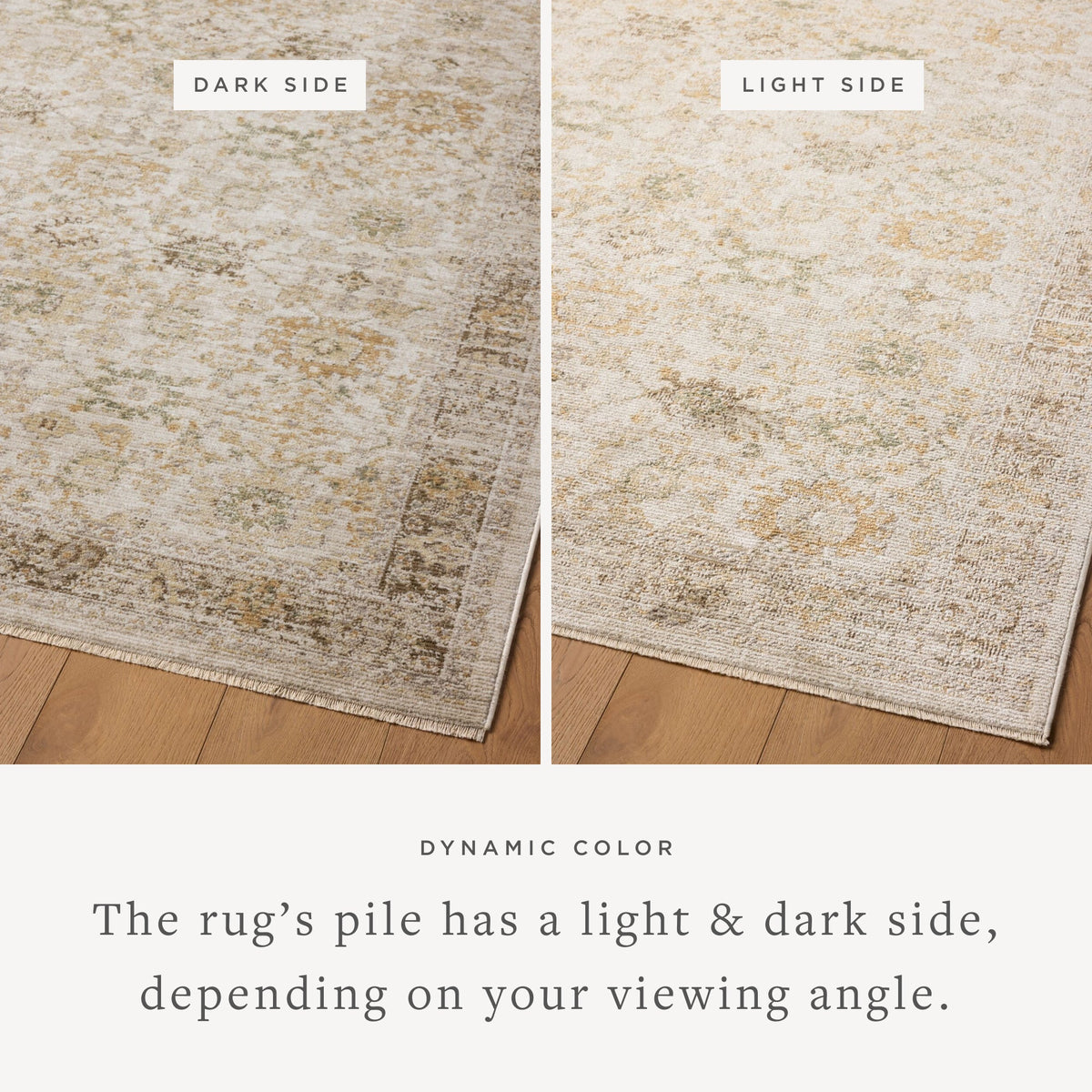 Magnolia Home by Joanna Gaines x Loloi  18" x 18" Sample Rug