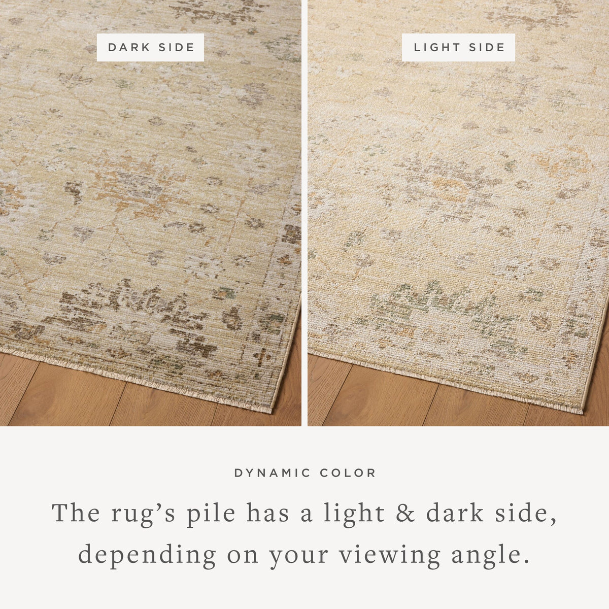 Magnolia Home by Joanna Gaines x Loloi  Area Rug