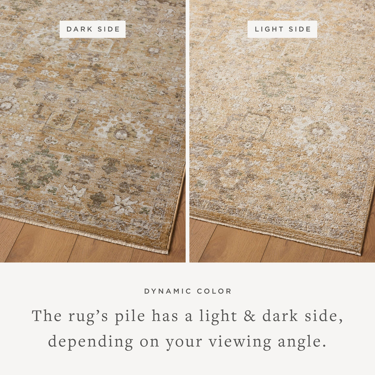 Magnolia Home by Joanna Gaines x Loloi  18" x 18" Sample Rug