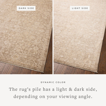 Chris Loves Julia x Loloi Palma 18" x 18" Sample Rug
