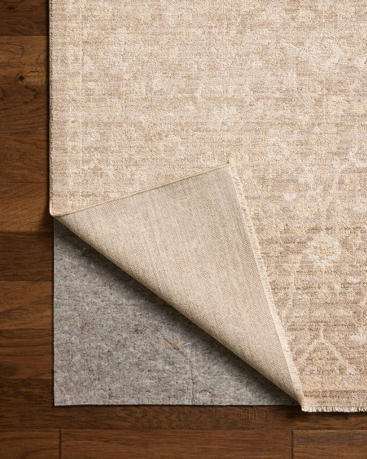 Chris Loves Julia x Loloi Palma 18" x 18" Sample Rug