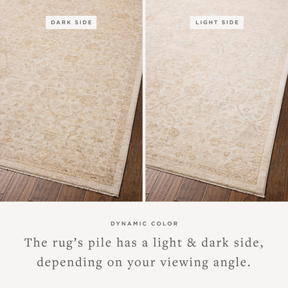 Chris Loves Julia x Loloi Palma 18" x 18" Sample Rug