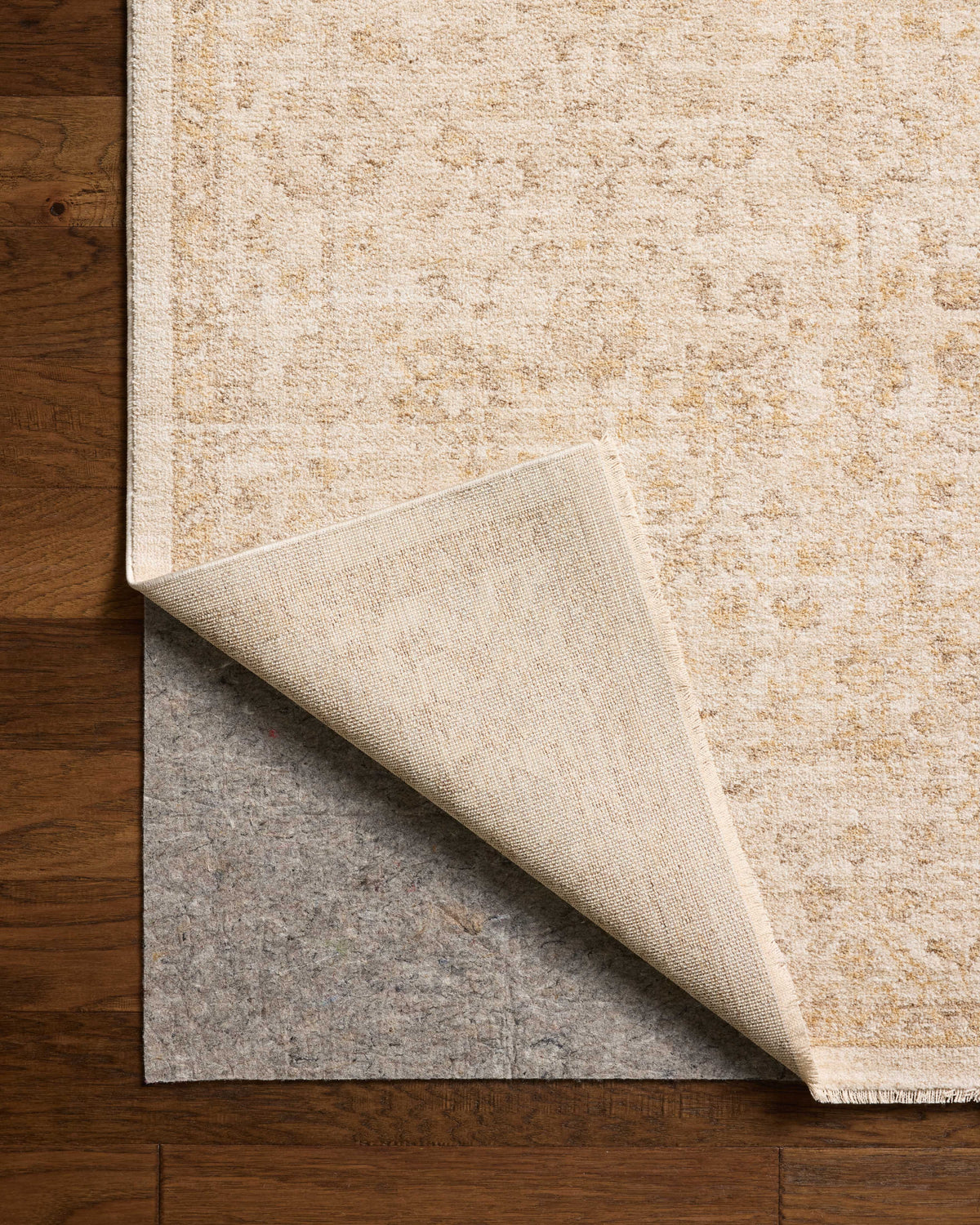 Chris Loves Julia x Loloi Palma 18" x 18" Sample Rug