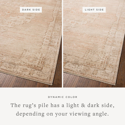 Chris Loves Julia x Loloi Palma Area Rug