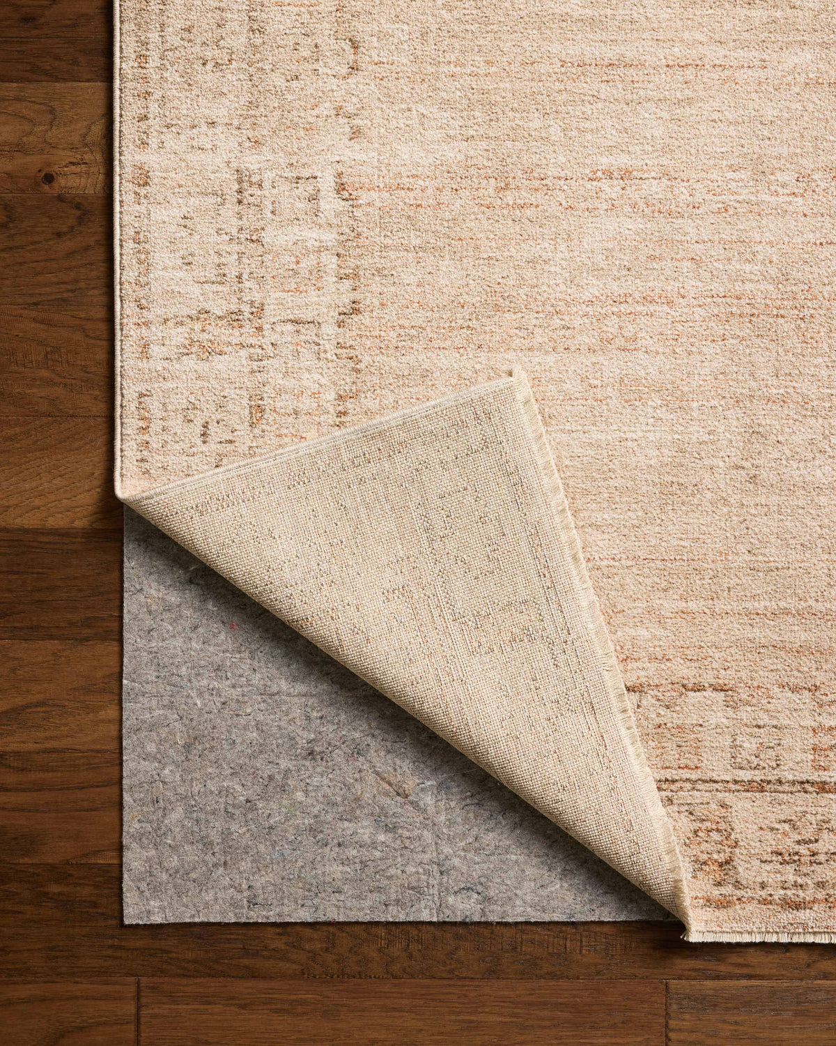 Chris Loves Julia x Loloi Palma 18" x 18" Sample Rug