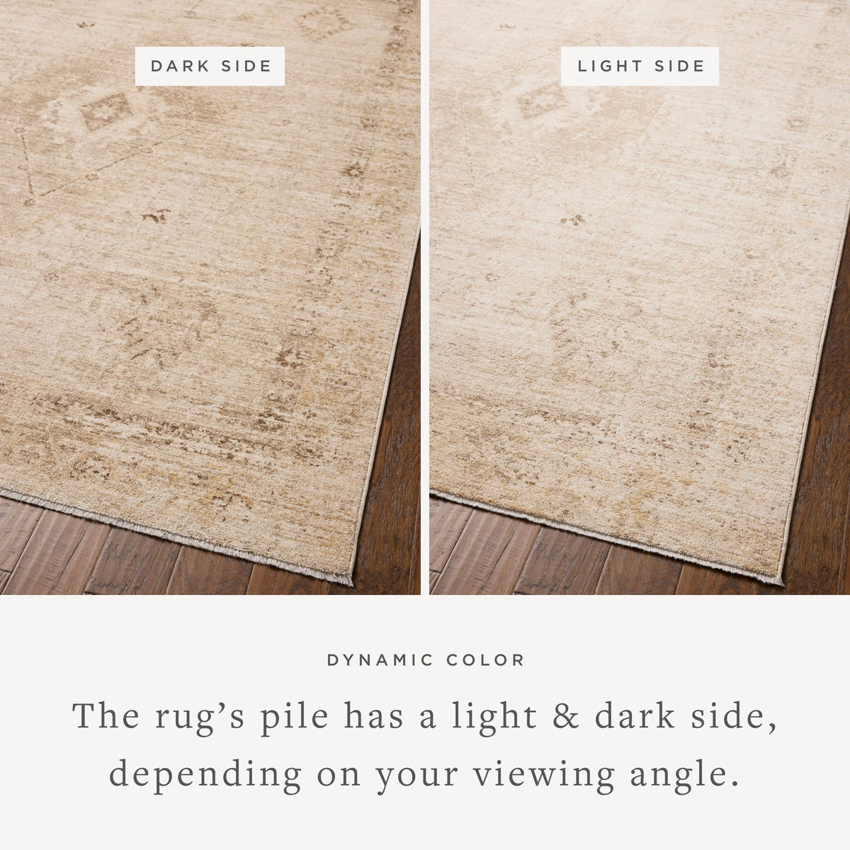 Chris Loves Julia x Loloi Palma 18" x 18" Sample Rug