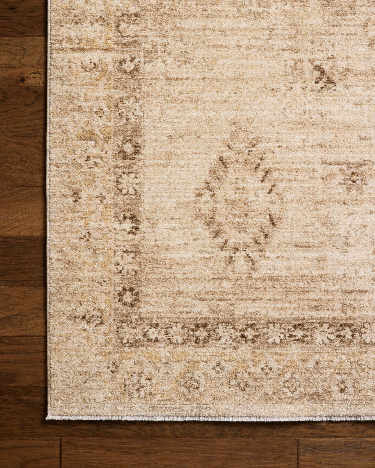 Chris Loves Julia x Loloi Palma 18" x 18" Sample Rug