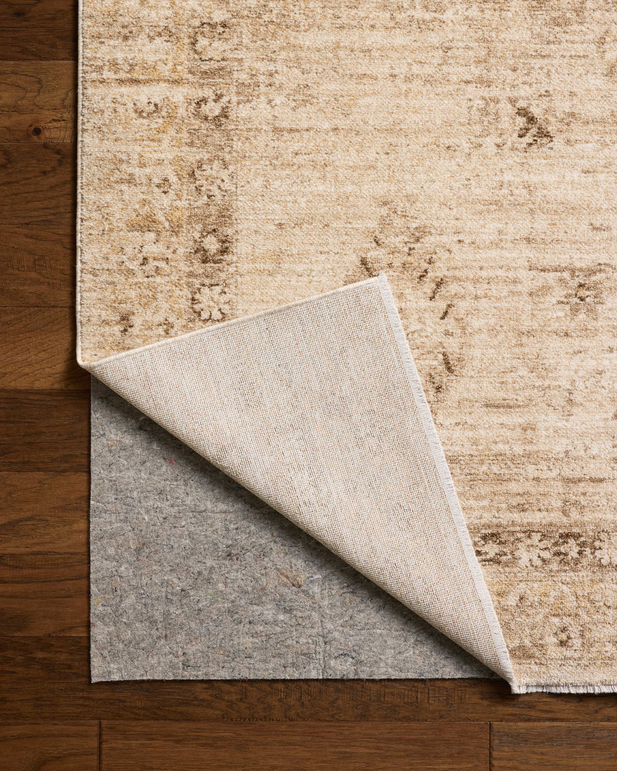 Chris Loves Julia x Loloi Palma Area Rug