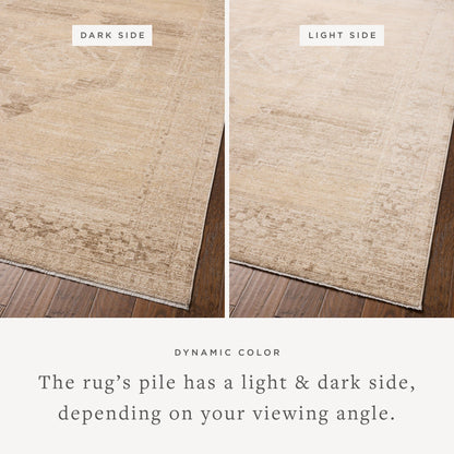Chris Loves Julia x Loloi Palma Area Rug