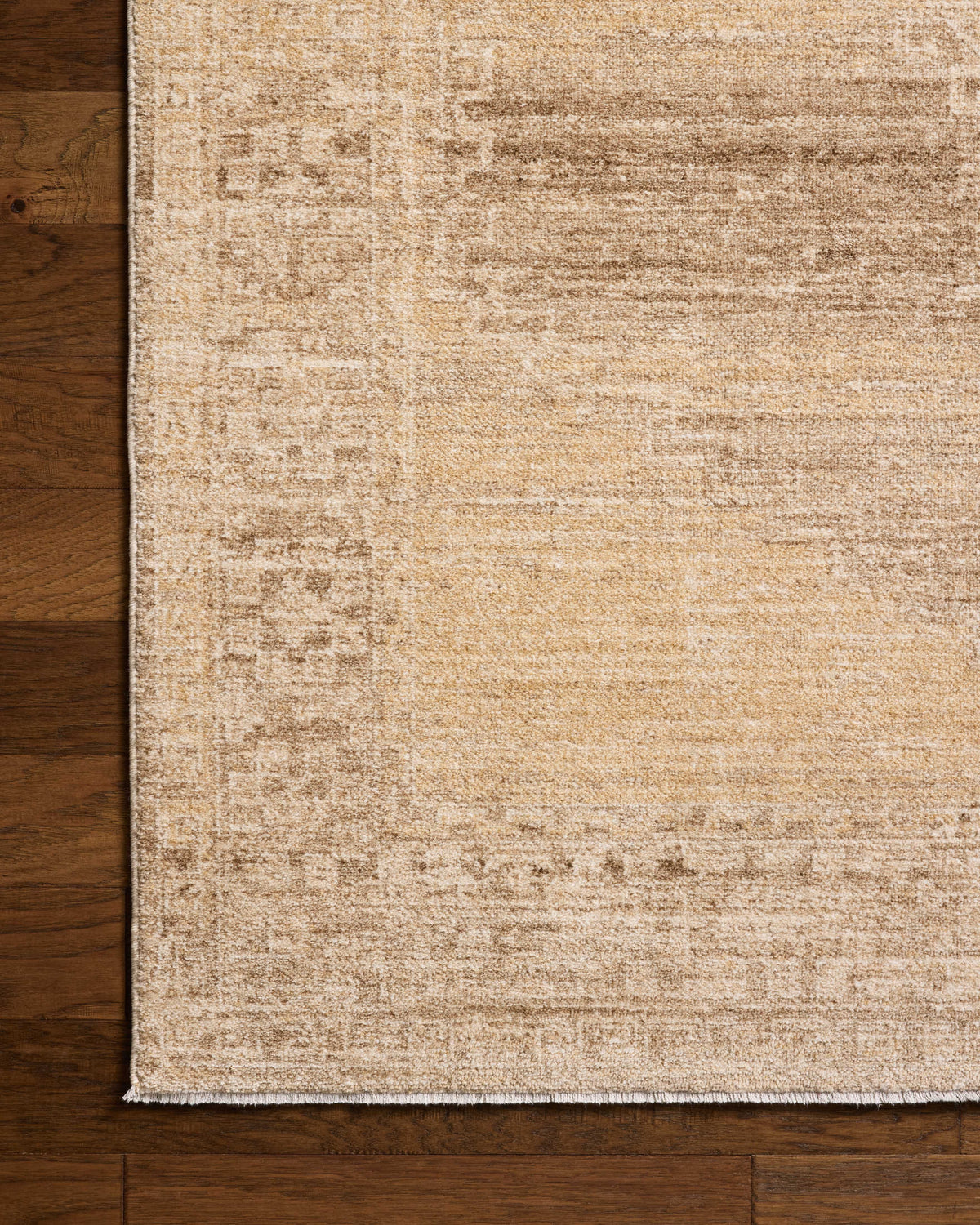 Chris Loves Julia x Loloi Palma 18" x 18" Sample Rug