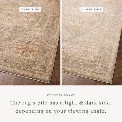 Chris Loves Julia x Loloi Palma 18" x 18" Sample Rug