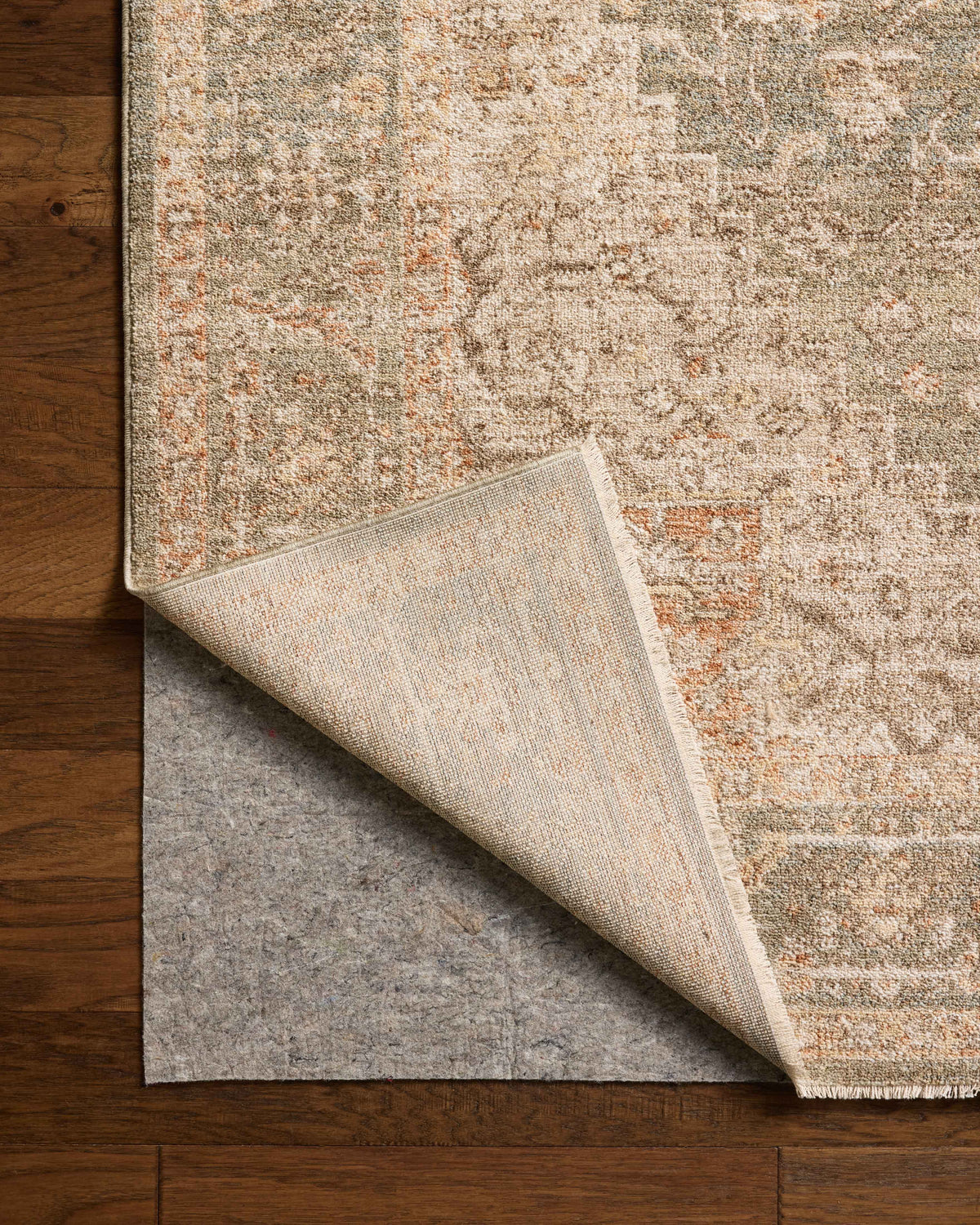 Chris Loves Julia x Loloi Palma 18" x 18" Sample Rug