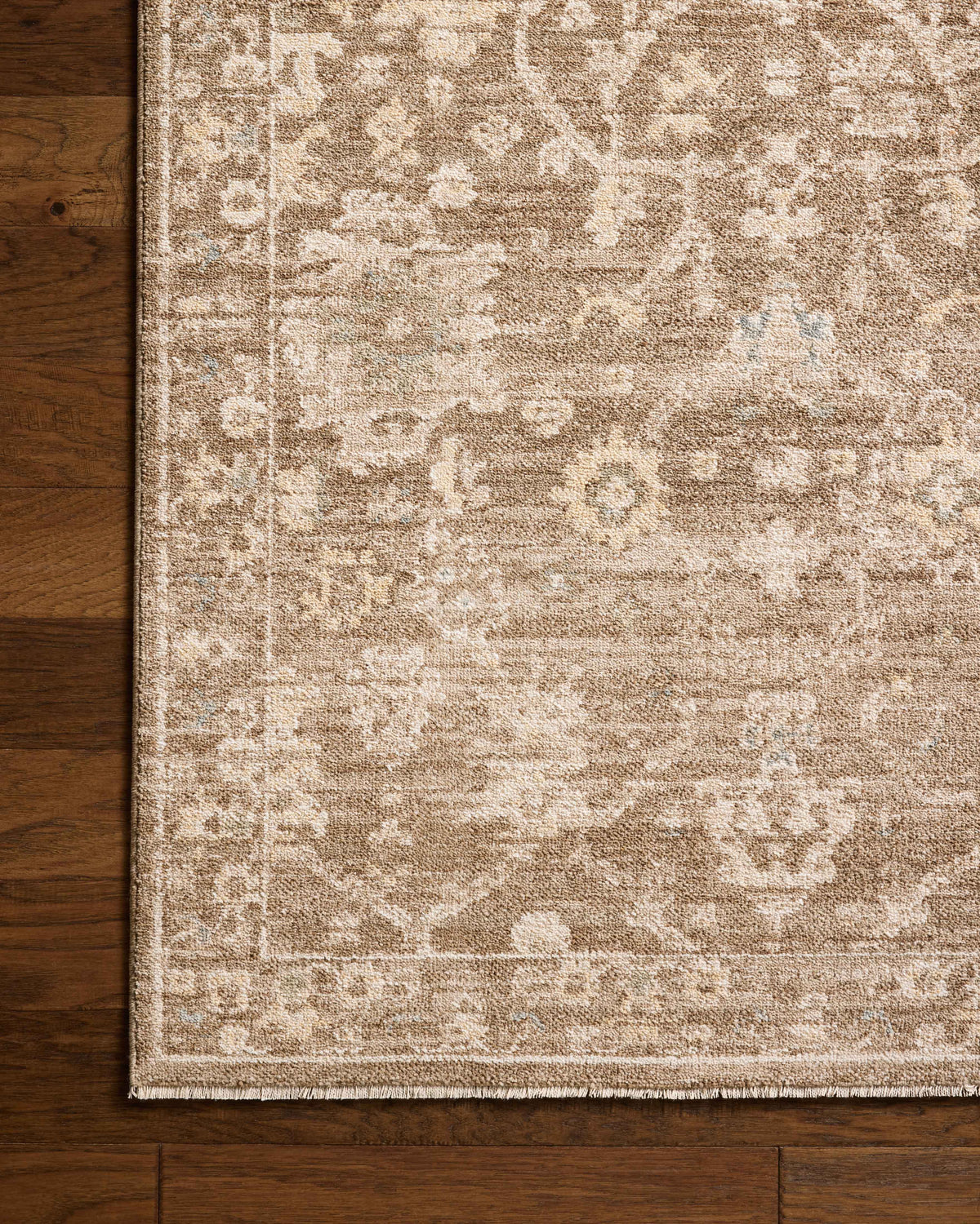 Chris Loves Julia x Loloi Palma 18" x 18" Sample Rug