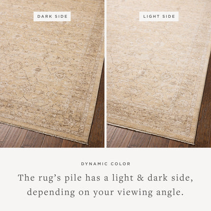 Chris Loves Julia x Loloi Palma Area Rug