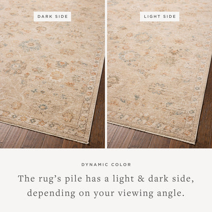 Chris Loves Julia x Loloi Palma 18" x 18" Sample Rug