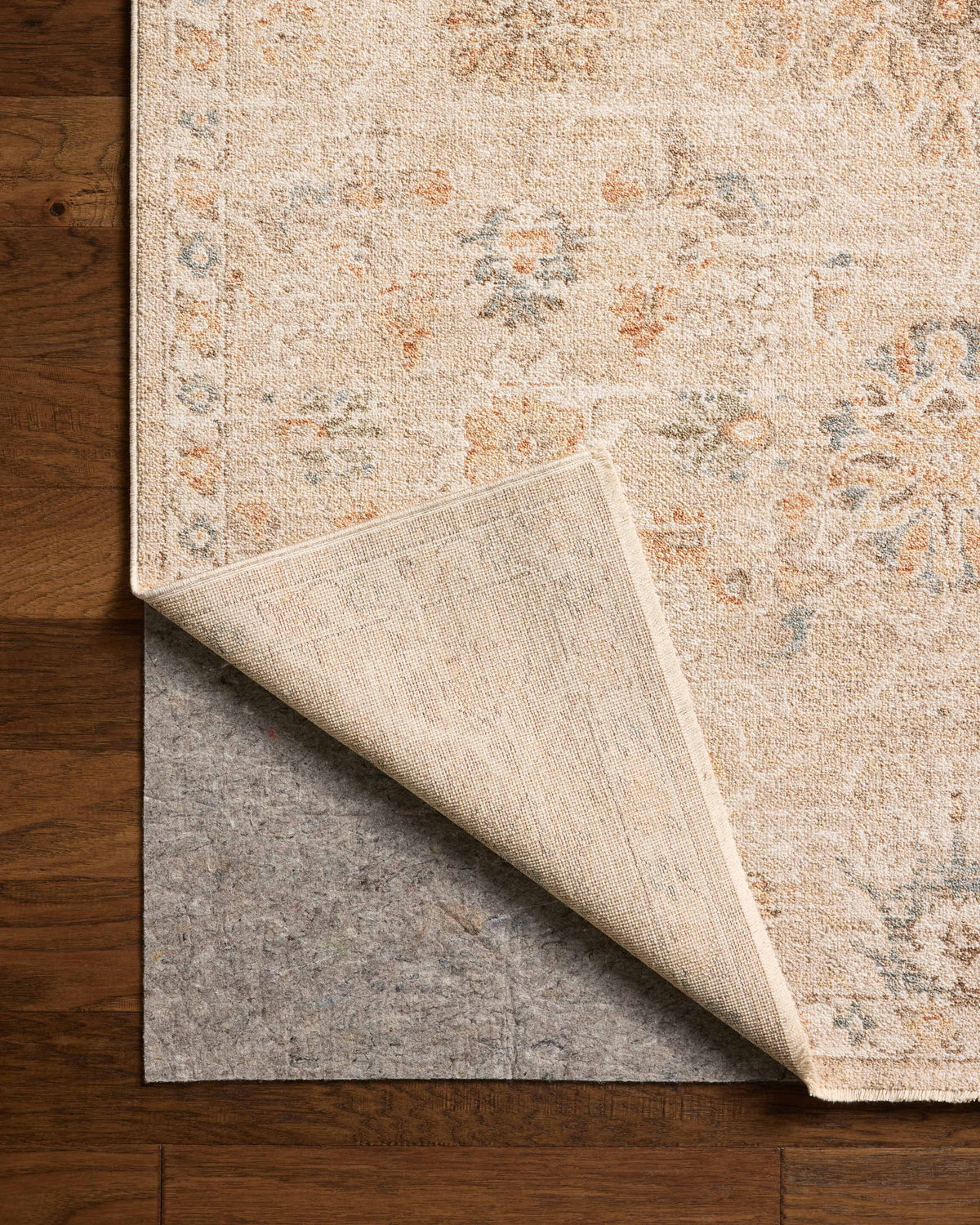Chris Loves Julia x Loloi Palma 18" x 18" Sample Rug