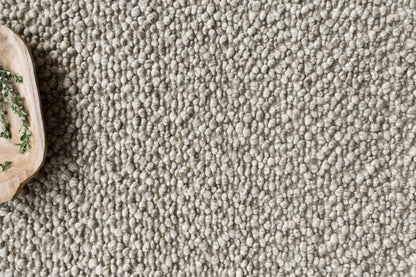 Loloi Area Rug