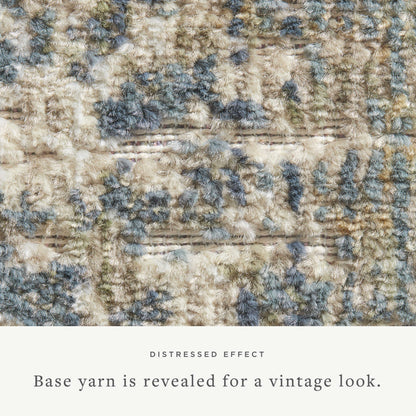 Chris Loves Julia x Loloi Rosemarie Accent Rug