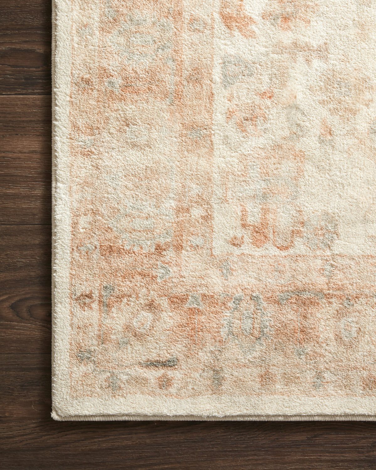 Loloi Area Rug