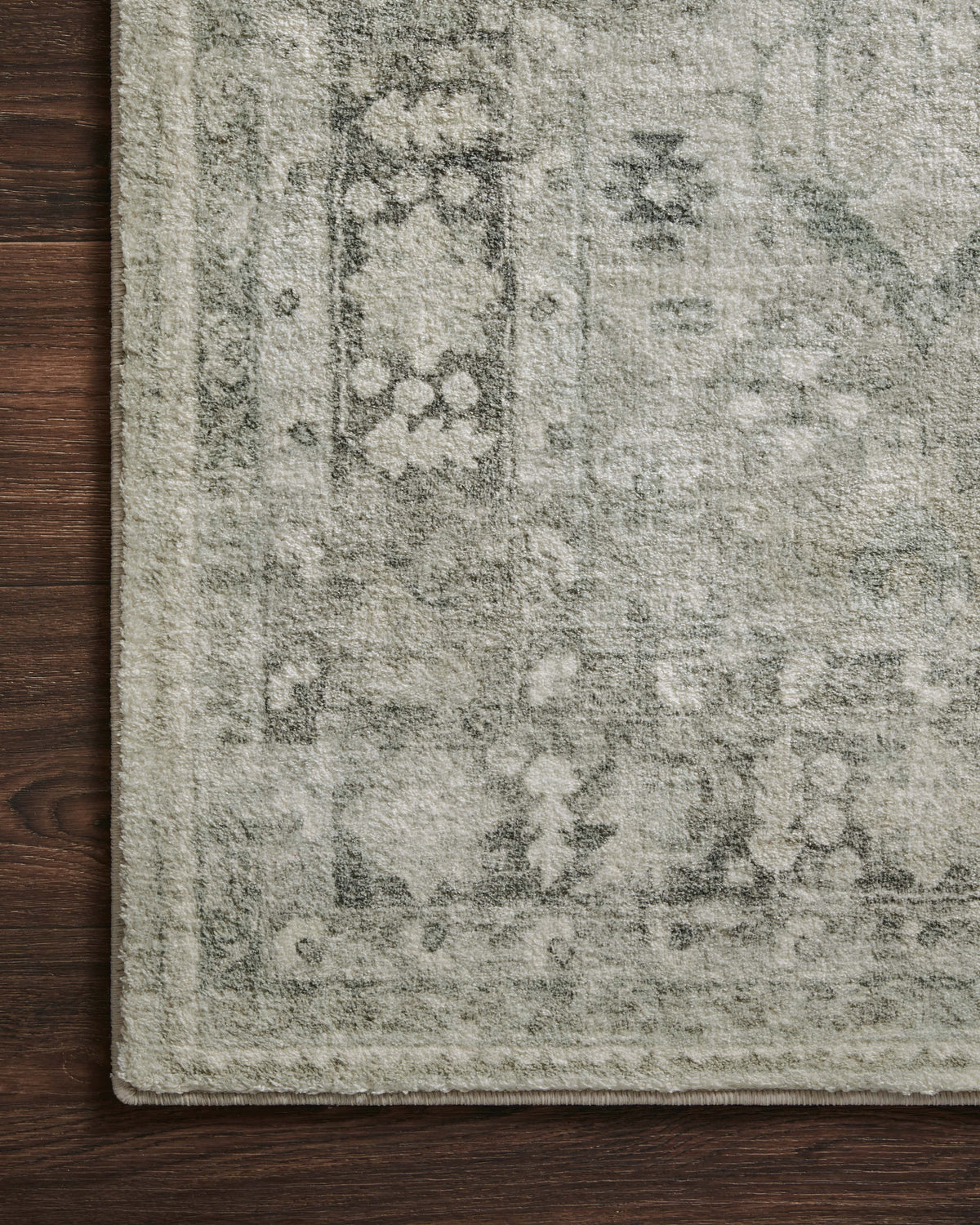 Loloi Area Rug