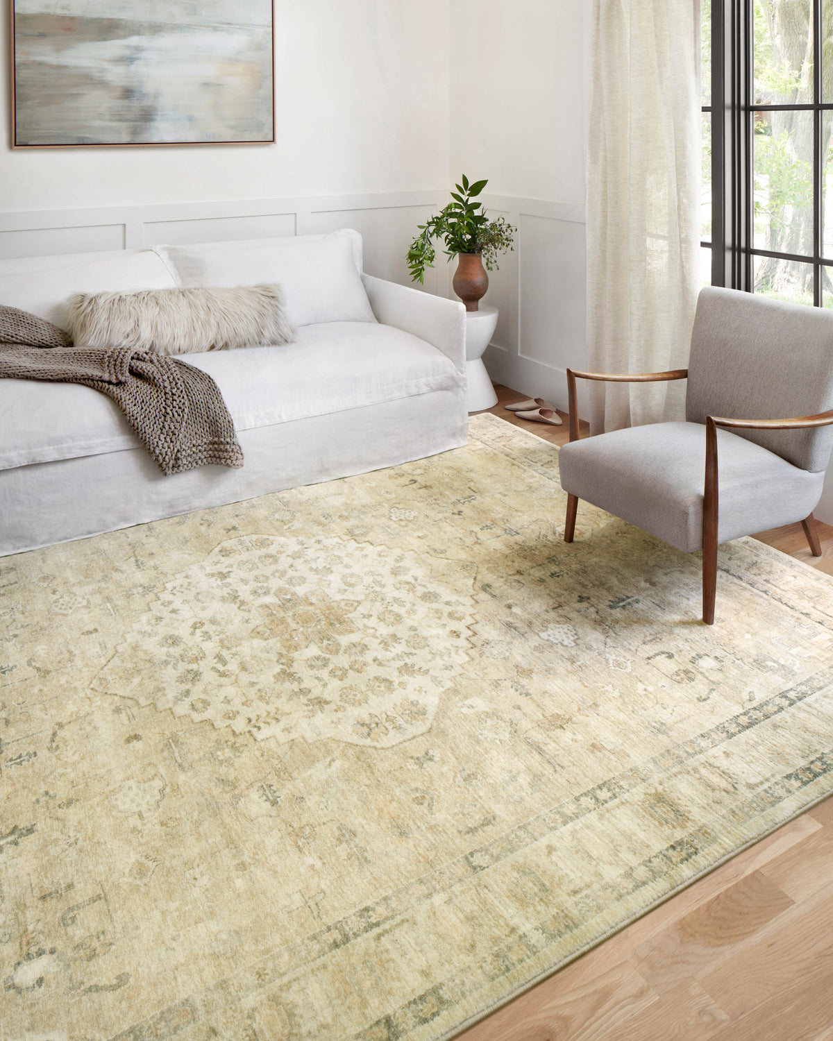 Loloi Area Rug