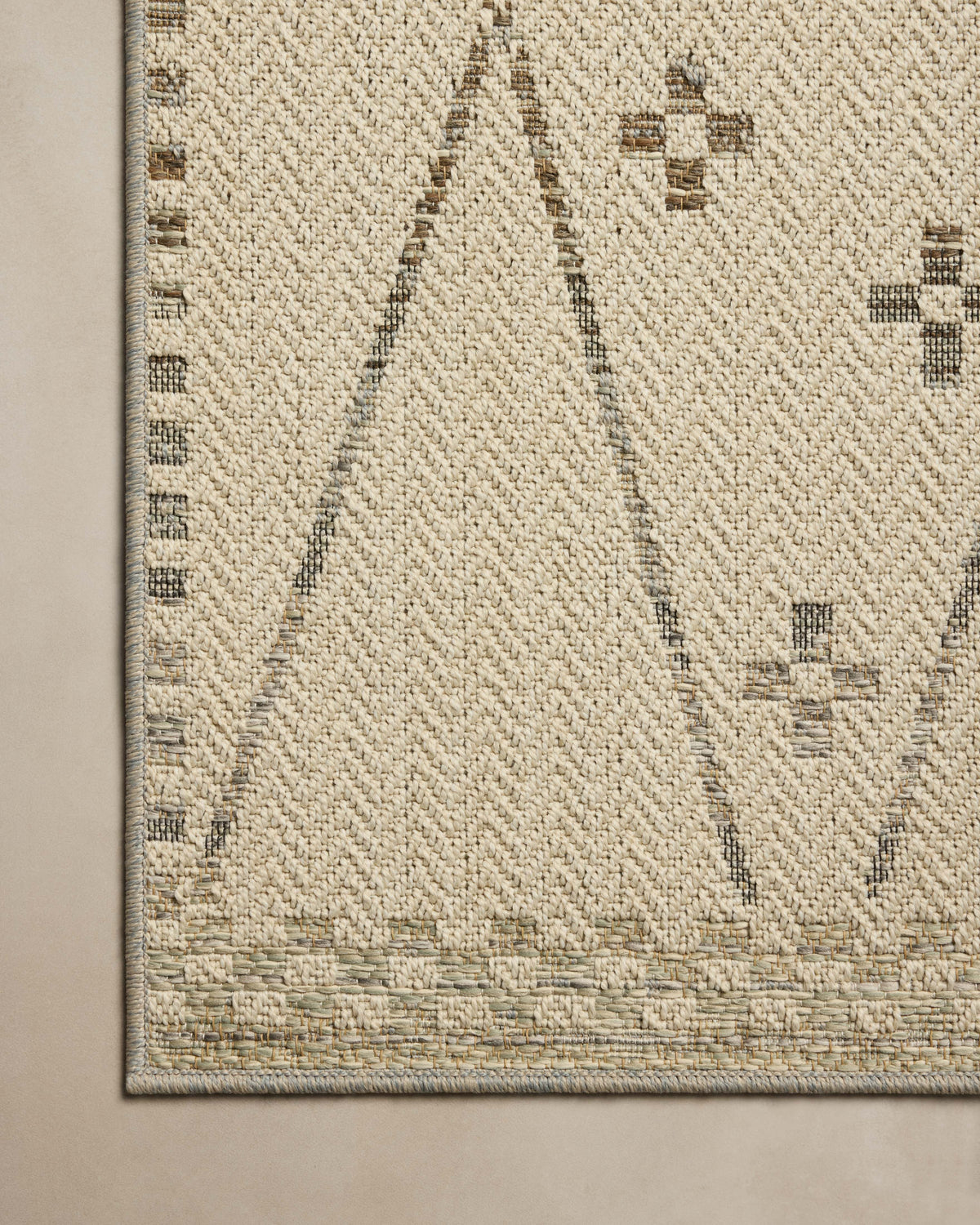 Loloi Indoor/Outdoor Area Rug