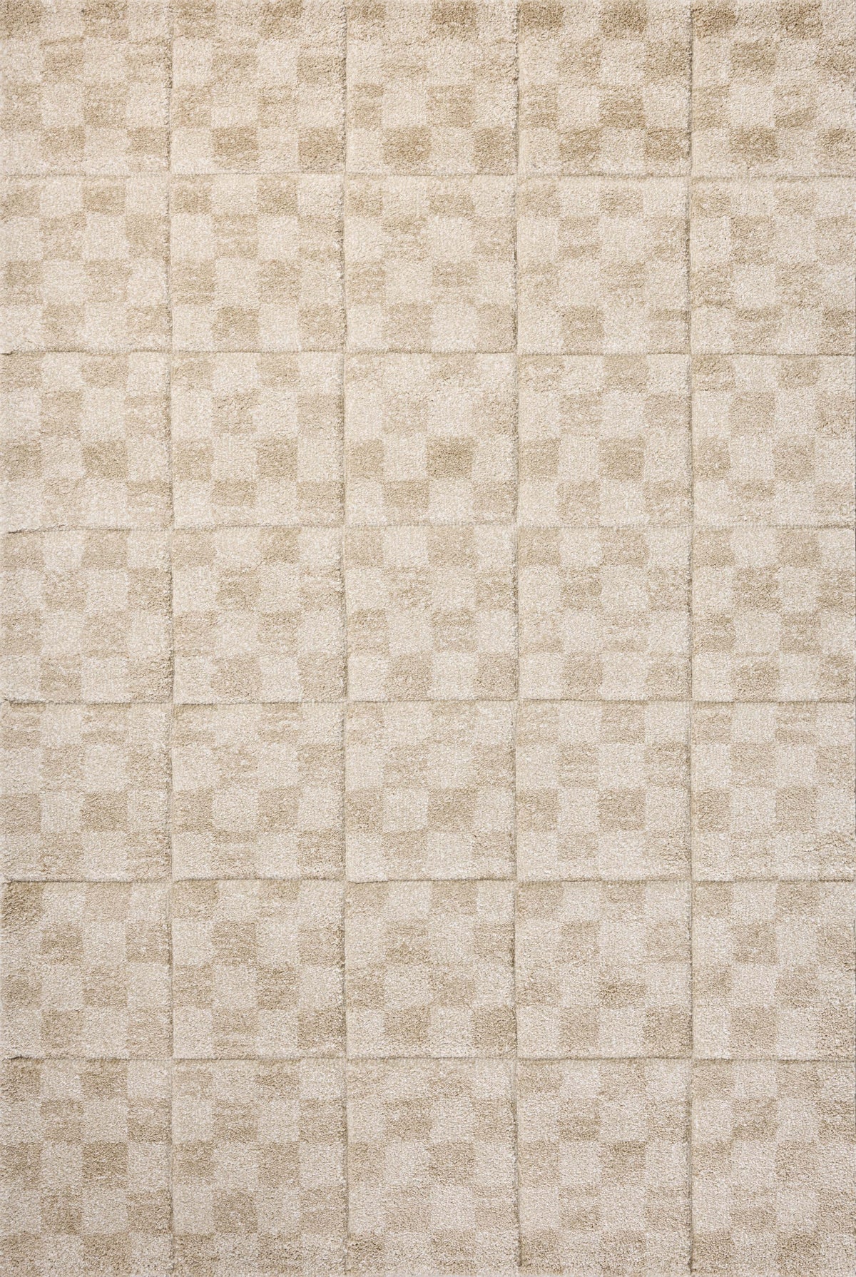 Loloi Silas 18" x 18" Sample Rug