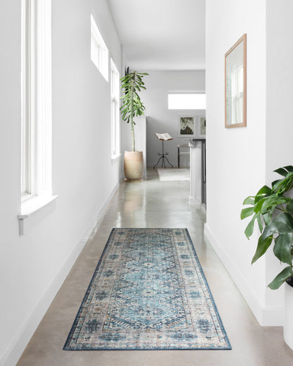 Loloi Skye Area Rug
