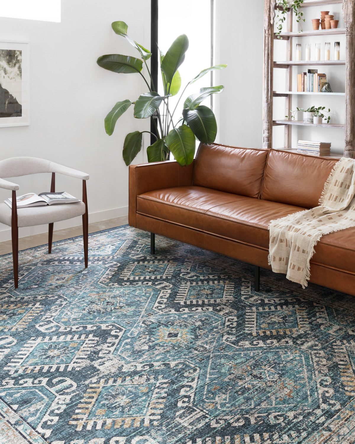 Loloi Skye Area Rug