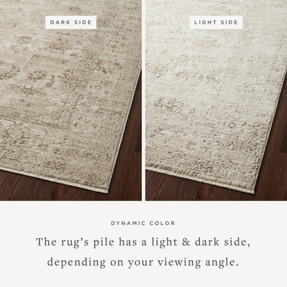 Loloi Sonnet Area Rug