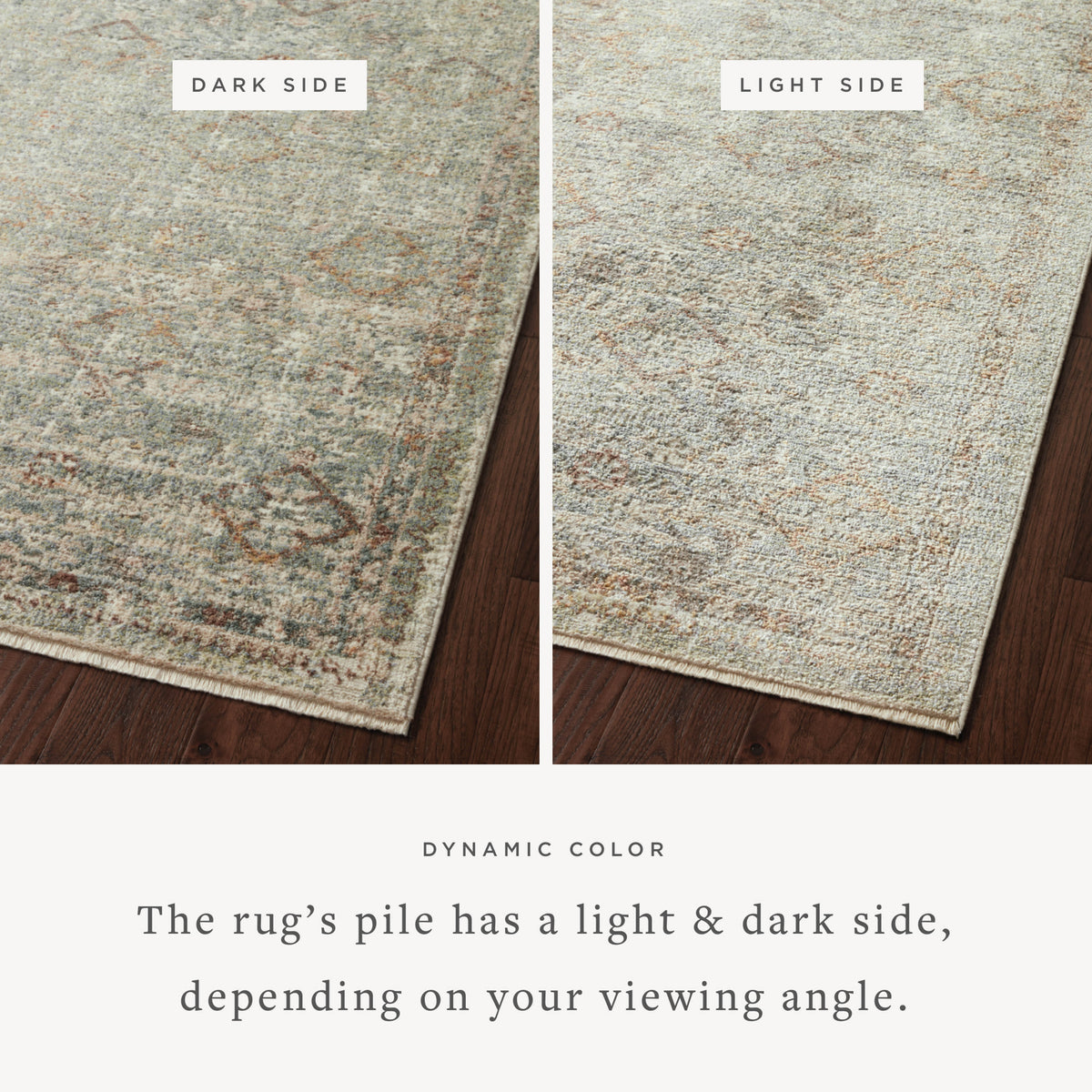Loloi Sonnet Area Rug