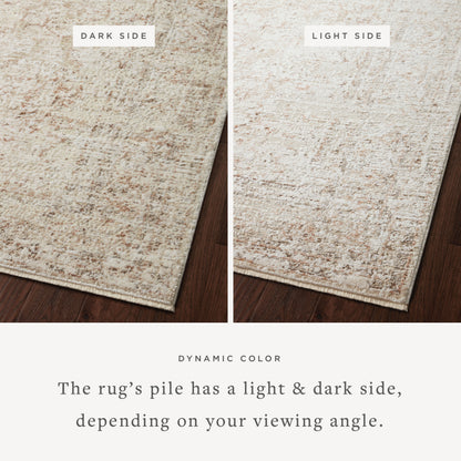 Loloi Sonnet 18" x 18" Sample Rug